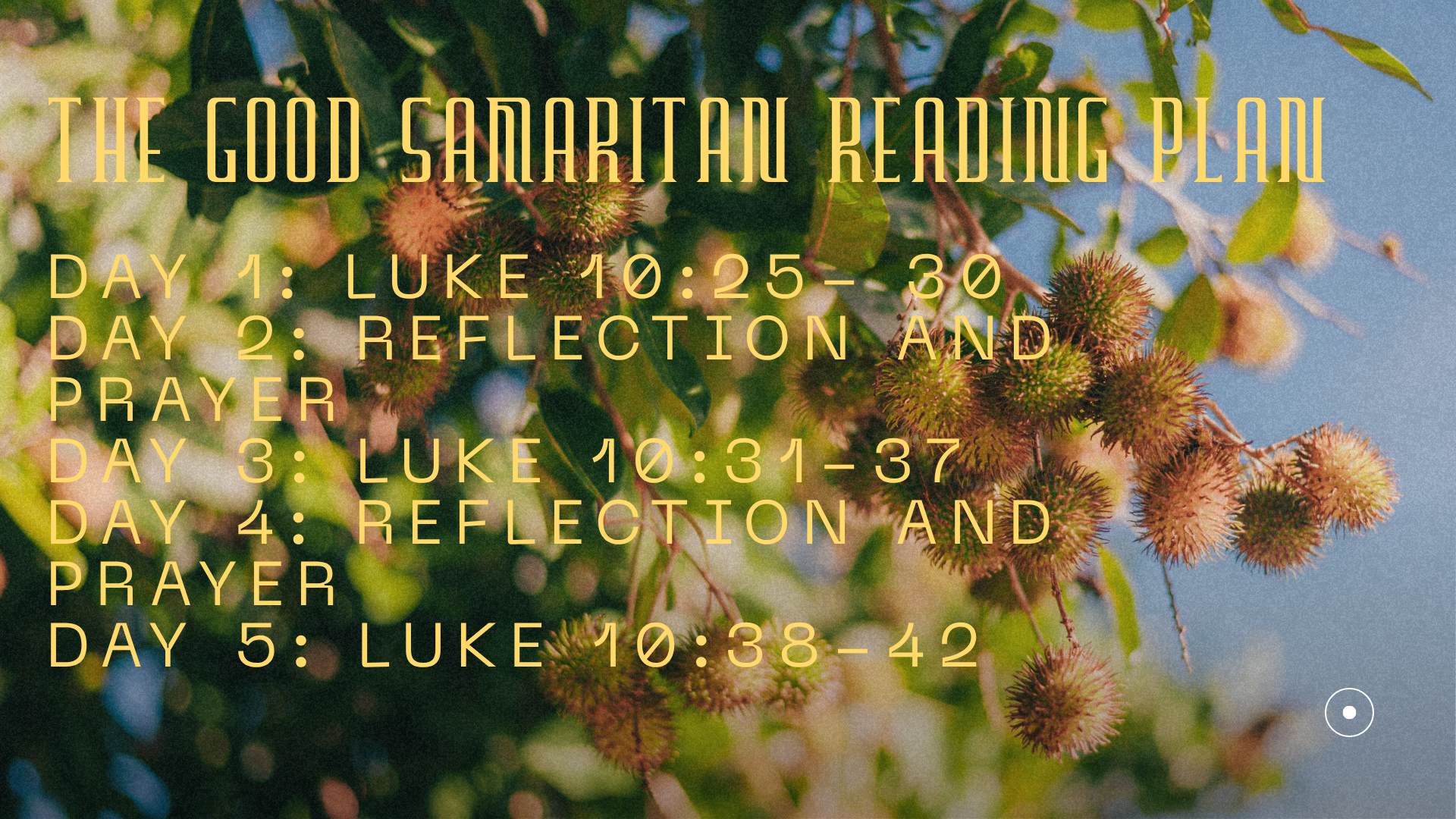 The Good Samaritan: Love That Crosses the Line